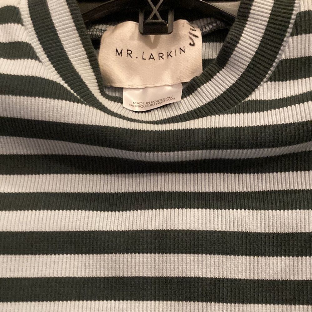 MR. Larkin Balloon Sleeve Seafoam Green Striped top - Picture 4 of 7